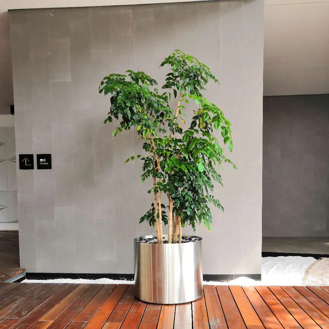 
Custom Outdoor or Indoor Metal Stainless Steel Flower Planters Large for Home or Garden Use 