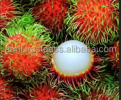  Предоставление замороженных rambutan/замороженных фруктов по лучшей цене-Vikafoods (+ 84983028718).
