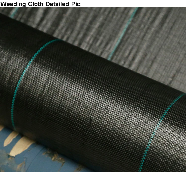 PP weed control Barrier fabric roll Agricultural and garden ground cover weed mat rolls Landscape fabric anti grass cloth