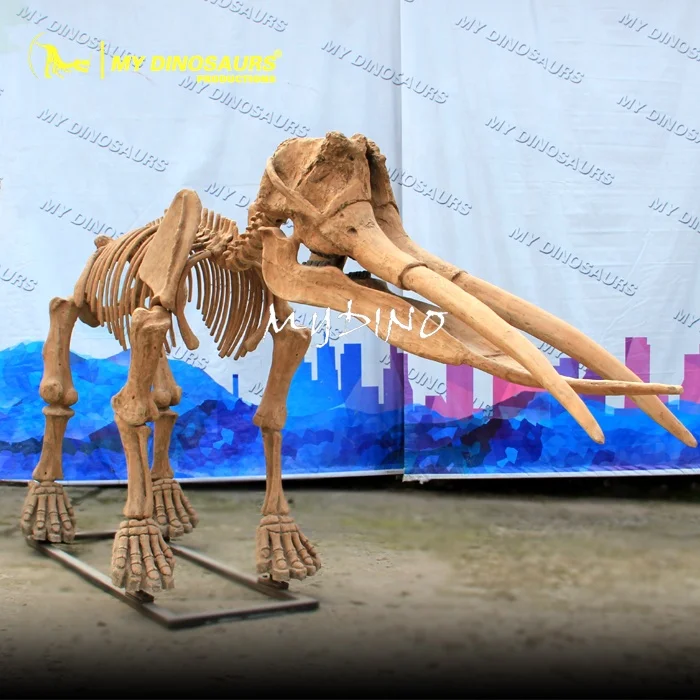 Скелет MY DINO L100 в натуральную величину ископаемый Бегемот для музея
