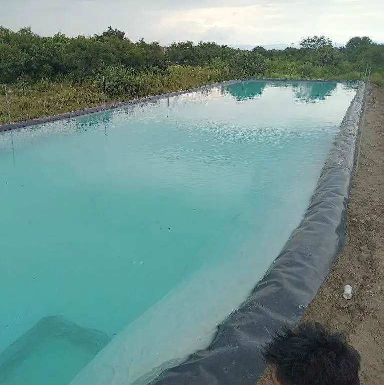 0.5mm 0.75mm 1mm 1.5mm Fish Farm Pond Liner Geomembrane iner good Price Dam Liner HDPE liner