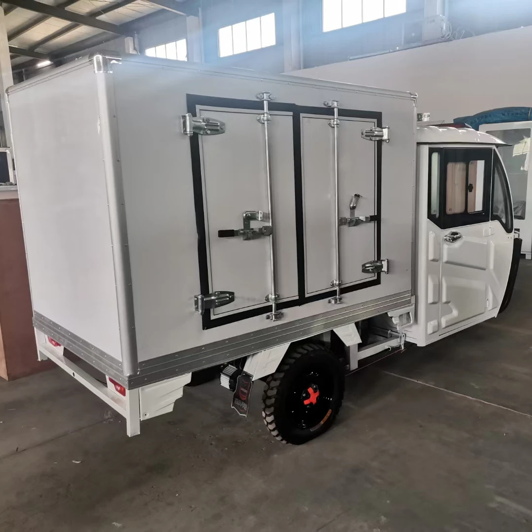 DC Power Gasoline/Electric Refrigerated Tricycle Chicken/Ice Cream Refrigerated Cold Box