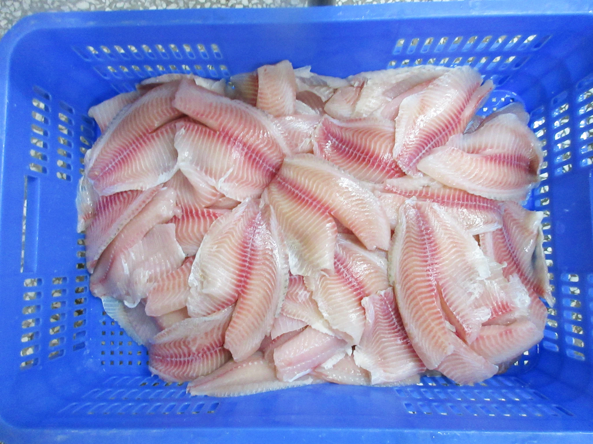 Fast Shipment Filete de Tilapia Frozen Tilapia Fillet Skinless Boneless Tilapia Fillet with Competitive Price