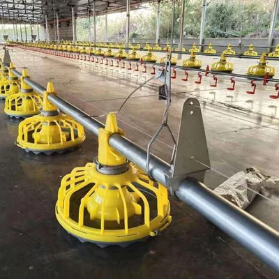 poultry feeding system feeder and drinker for chicken