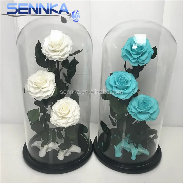 Three Big Preserved Flowers Roses in Glass dome Wedding Decoration