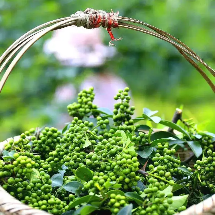 Custom Green Sichuan Peppercorn Grade Two Szechuan Green Pepper Corns  Numb Chinese Prickly Ash  Qing Huajia