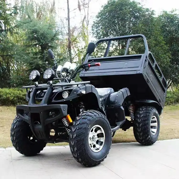 NEWest 15KW Quad UTV Electric Vehicle UTV Adult 4x4