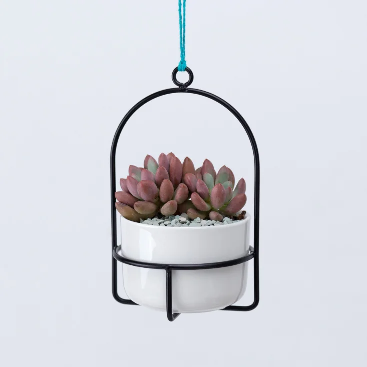 hanging small cute flower pots planters ceramic