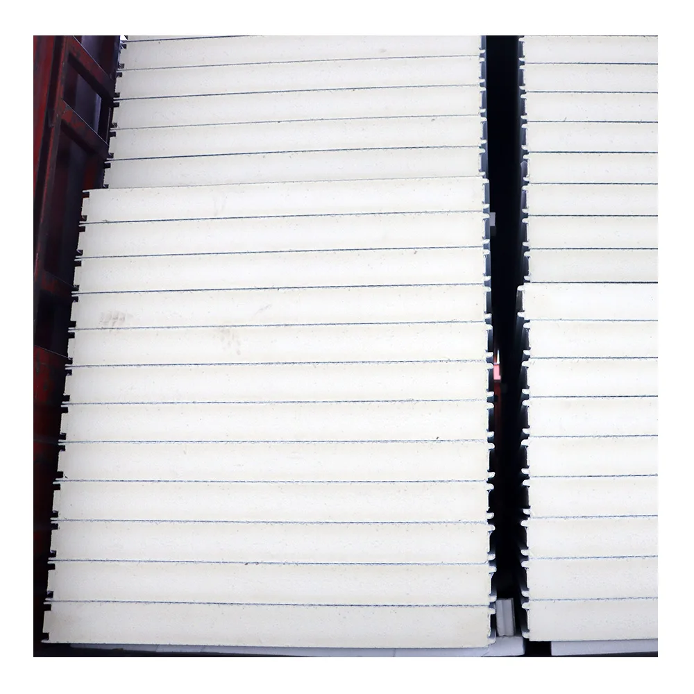 Cold Room Storage 100mm thickness PIR PU Panel with sealing sides for meat