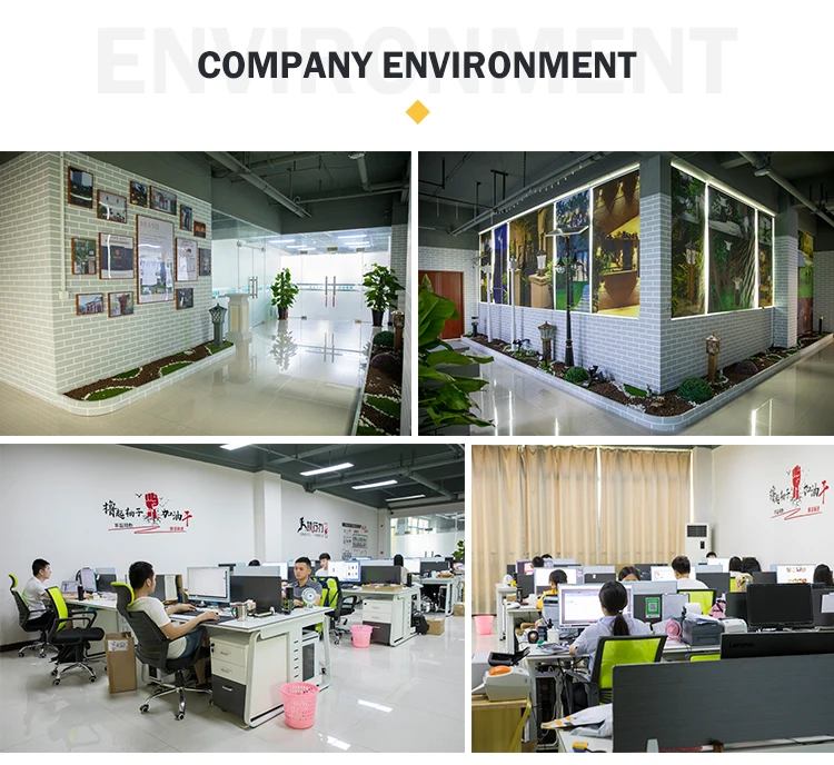 (4)company enviroment
