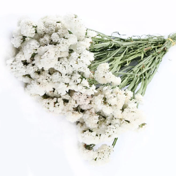 Wholesale Hot Selling Preserved Fresh Flowers Forget-me-not for Decoration