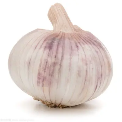 China bulk garlic export, huge concessions