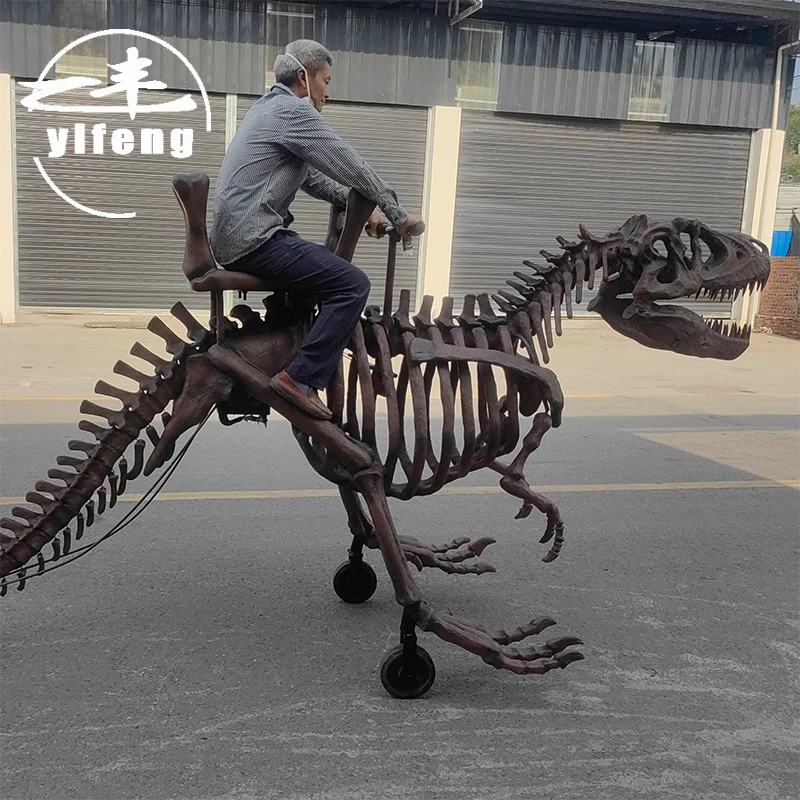 2024 custom made life size artificial dinosaur replica skeleton fossils