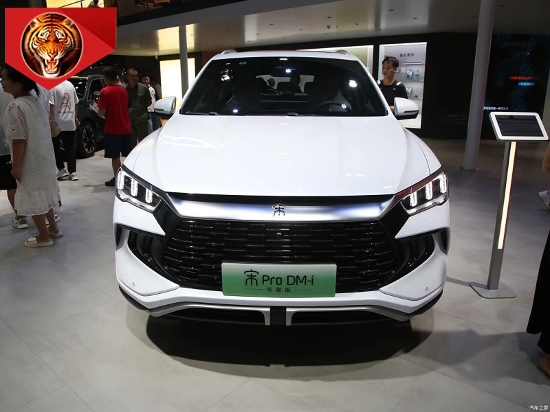 BYD2024 Song Pro DM-i Honor Edition 110 км Super SUV