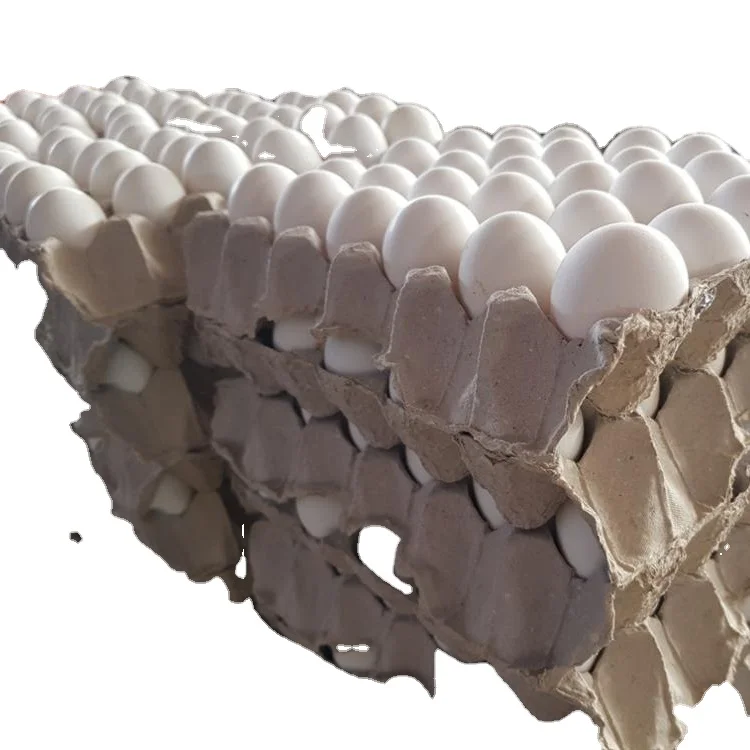 Горячие свежие куриные яйца/столовые яйца для продажи/фертильные инкубационные яйца Ферма Свежий куриный стол коричневый/органический свежий цыпленок