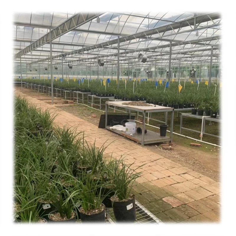 HDPE polyester monofilament yarn wire for agriculture greenhouse