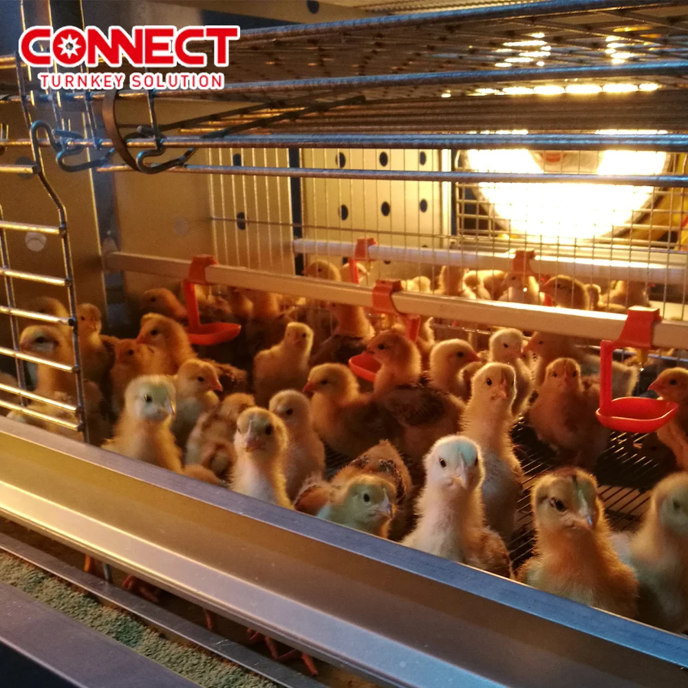 Complete Automatic Poultry Husbandry Equipment H Type Feeding House Manual Poultry Metal Broiler Raising Chicken Cage For Chicks