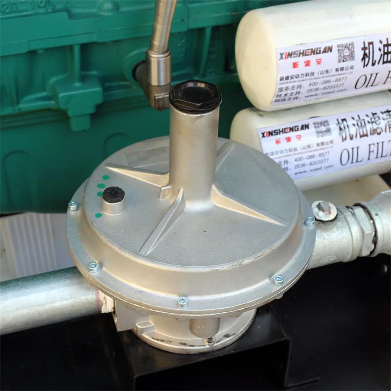 Природный газ 24V электрический старт XSA-250GFQ 451A генератор природного