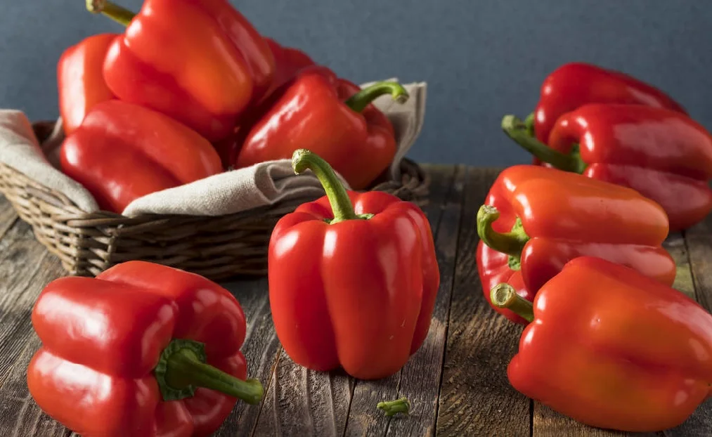 
Suntoday Red sweet bell pepper Capsicum chilli seeds 10gr/bag 