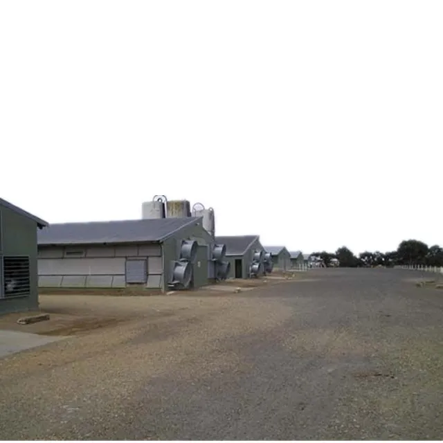 Дешевая сборная стальная конструкция, птицеферма для цыплят, бройлеров