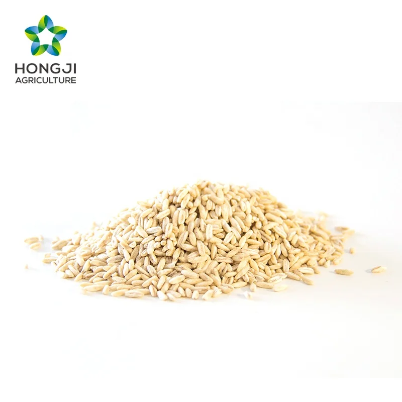 Зерна овса семена