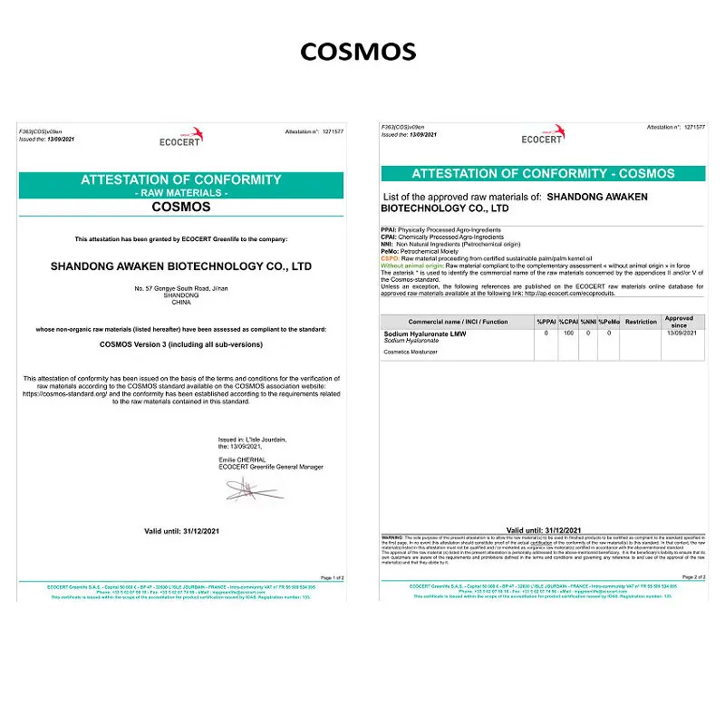 Cosmetic Grade Gamma PGA Powder CAS 25513-46-6 Polyglutamic Acid Food Grade