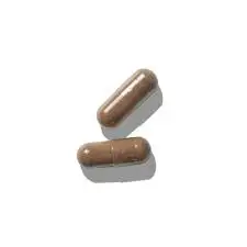 brain boost capsules shilajit and ashwagandha