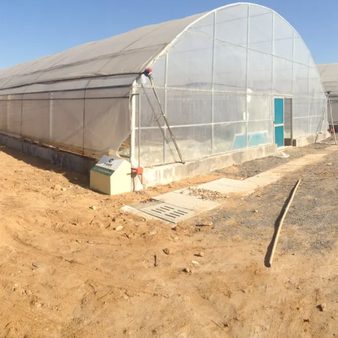 2024 hot galvanized steel frame greenhouses for growing mushroom for sale