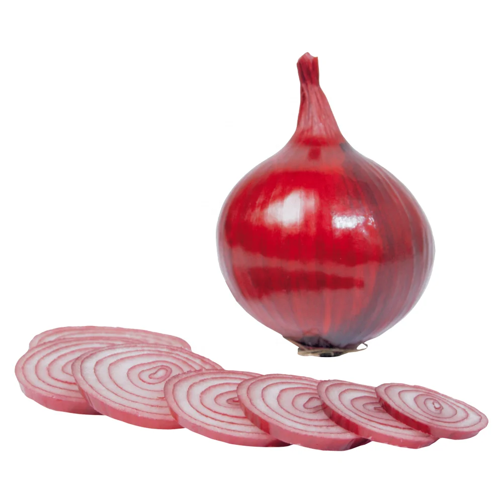 onion not onion seeds and onion red with best price for export