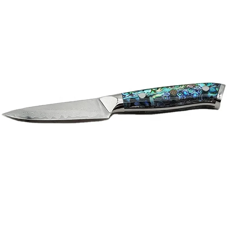Factory custom high quality OEM 67 layers damascus steel fruit paring knife with  Abalone Acrylic handle