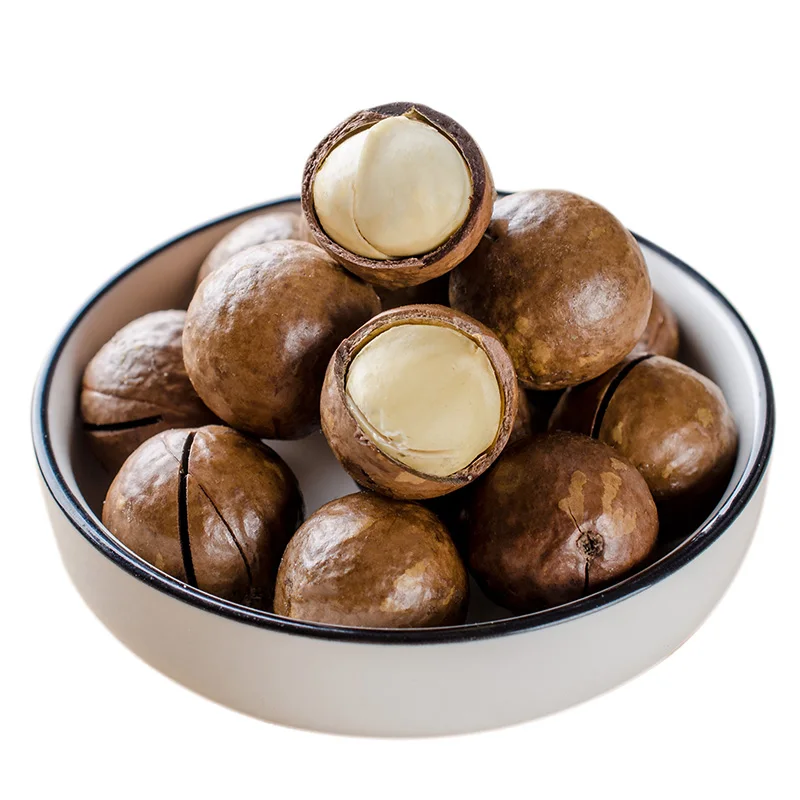 Bulk High Quality Macadamia/ Macadamia nuts/roasted macadamia