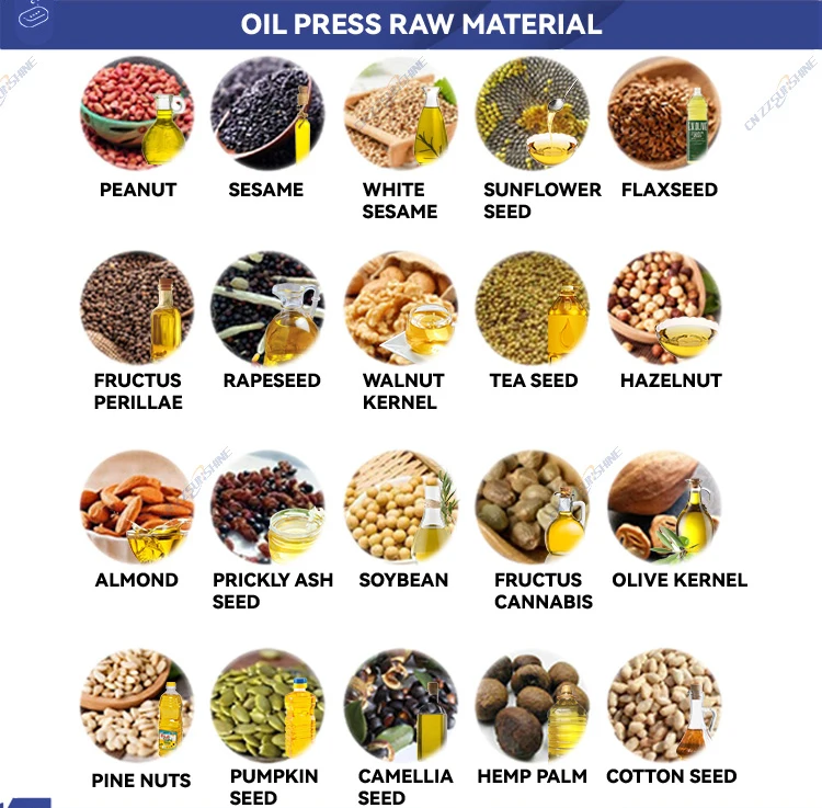 Multi-function Avocaoil Filterbean Extraction Hydraulic Cold Oil Press Machine Manual Cold Oil Pressers Making Machine