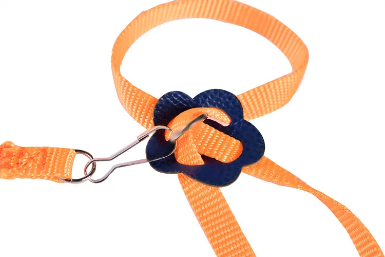 multicolor adjustable bird harness and leash A set birds harness for training Parrot leash