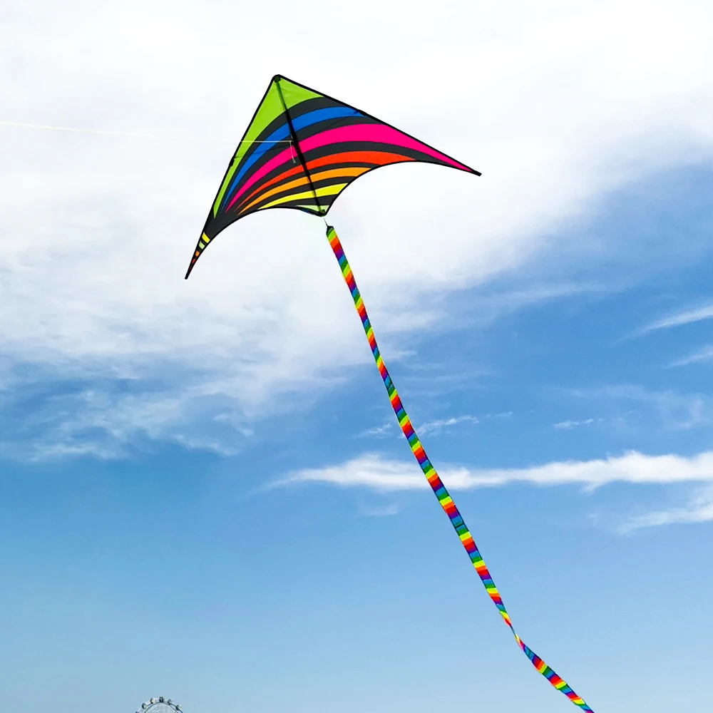 Factory Direct Wholesale Riotous Kite New Design Model Polyester Kite Fiberglass Frame Easy to Fly OEM Customized Lo