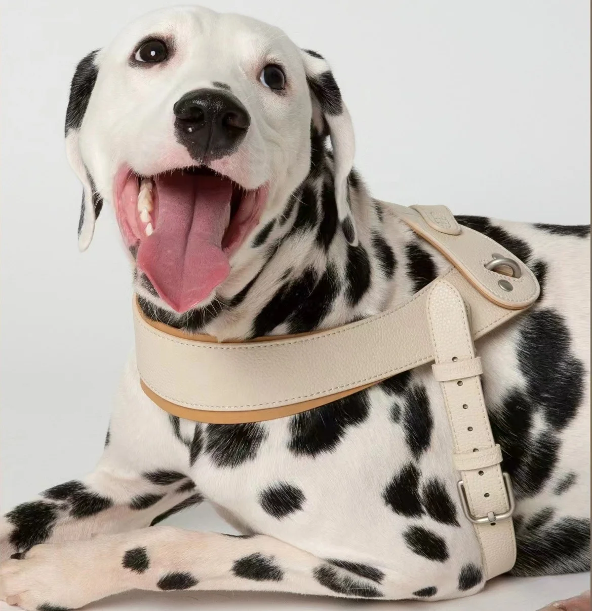 Luxury Dog Harness Dog Leash Adjustable, Easy On-Off Pet leash and Harness set, High quality Faux Leather and Metal Accessories