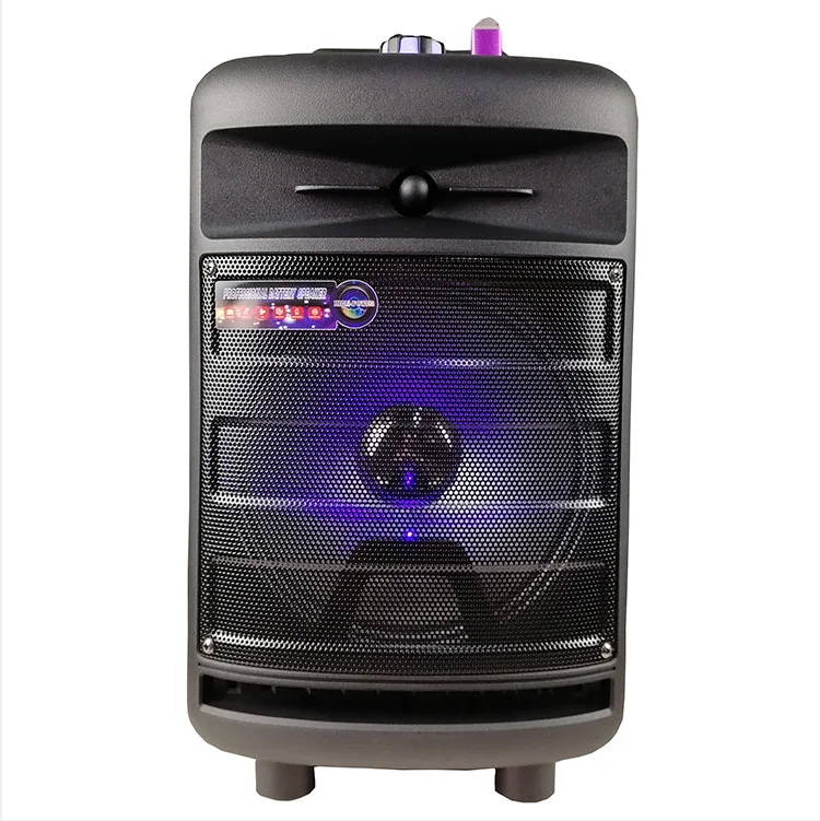 Портативный динамик для караоке BT, 8 дюймов, низкочастотный динамик, сопряжение с TWS, FM-радио, поддержка USB/TF-карт