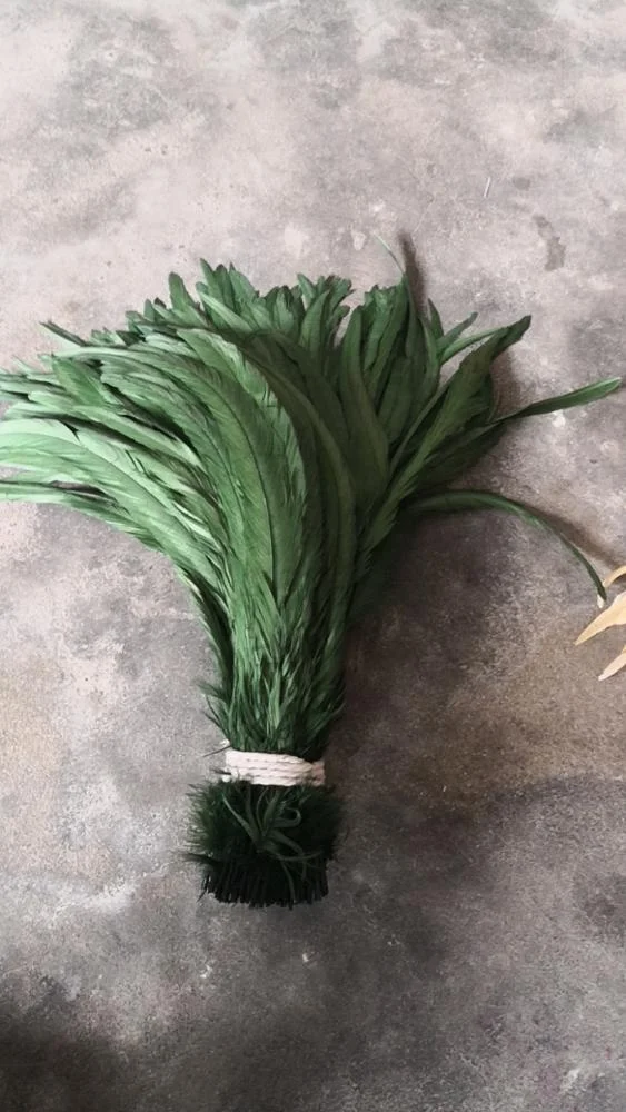 14-16 inch ( 35-40 cm) Rooster Feather for sale