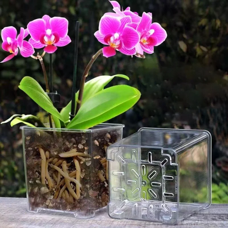 Garden Plastic Square Orchid High Transparent Flower Plant Pot