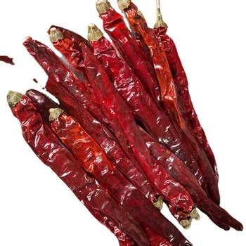 High Quality Natural Chili Big Chili Pepper Wholesale Dried Red Chili For Seasoning from Sichuan China