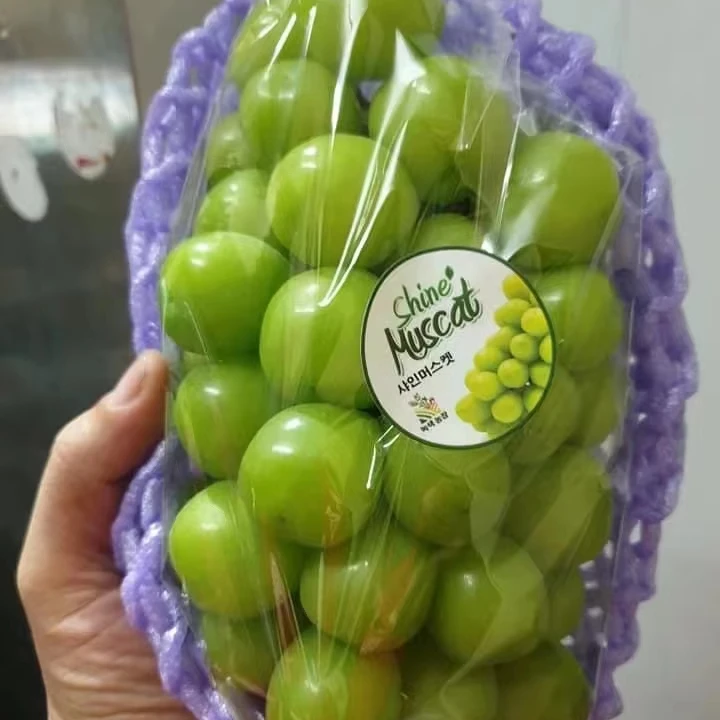 High Quality Season Grade Fruit Red Fresh Globe Garape Grape Fresh Sweet Egypt Crimson Seedless Shine Grapes For Sale