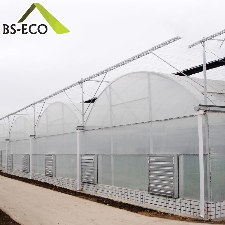 Hot sale agricultural cultivation equipment Steel Structure PO film greenhouse for Breeding/Exhibition/Research/Aquaculture