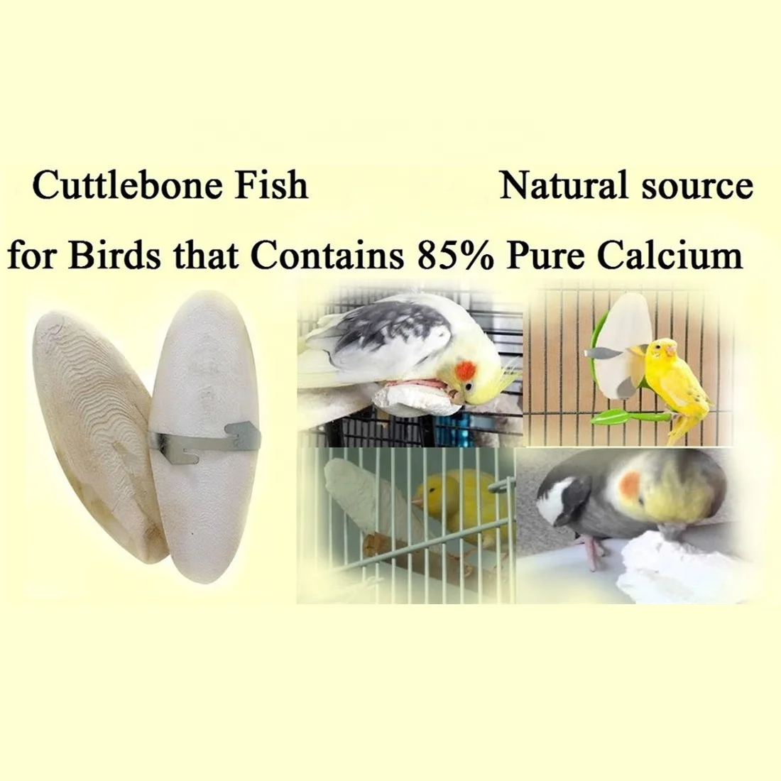 Chewing Cuttlefish Bone for Sharp Beaks Bird Cuttlebone for Parakeets 10-18cm Natural Cuddle Bone