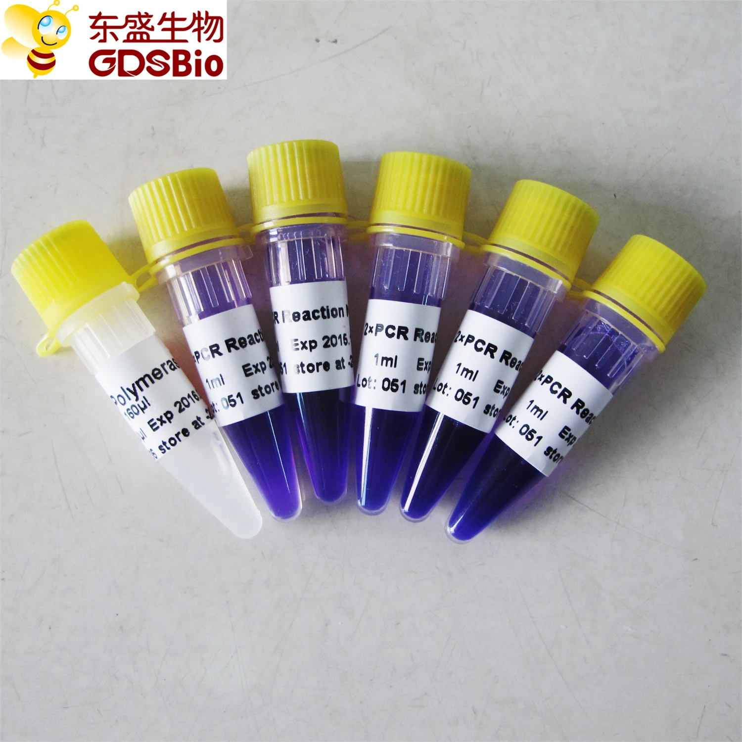 Ordinary PCR Reagent PCR Kit P3012