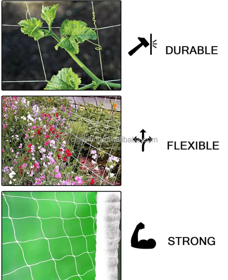 5 x 3280 ft Vine Line White Plastic Garden Trellis Netting roll (Roll Package)