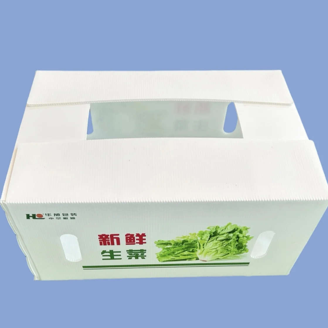 Wholesale Custom Foldable Plastic Corrugated Fresh Printed Folding Fruit Storage Packaging Packing PP Coroplast Box For Fruit