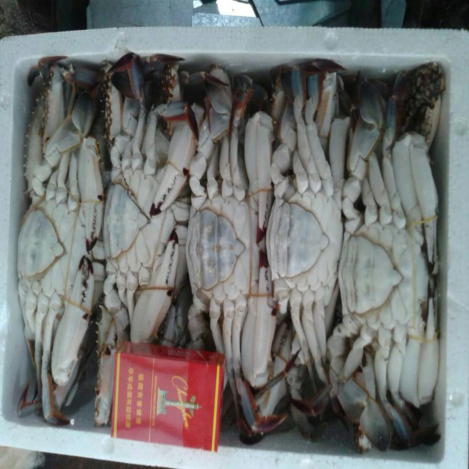 best service BLUE CRAB Sales Price fat Frozen Crab cut crab raw material block in stock