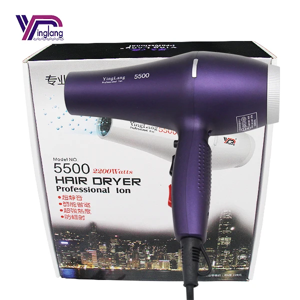High Power Salon Hotel Best Professional Home Salon Hot and Cold Air Negative Ion Hair Dryer