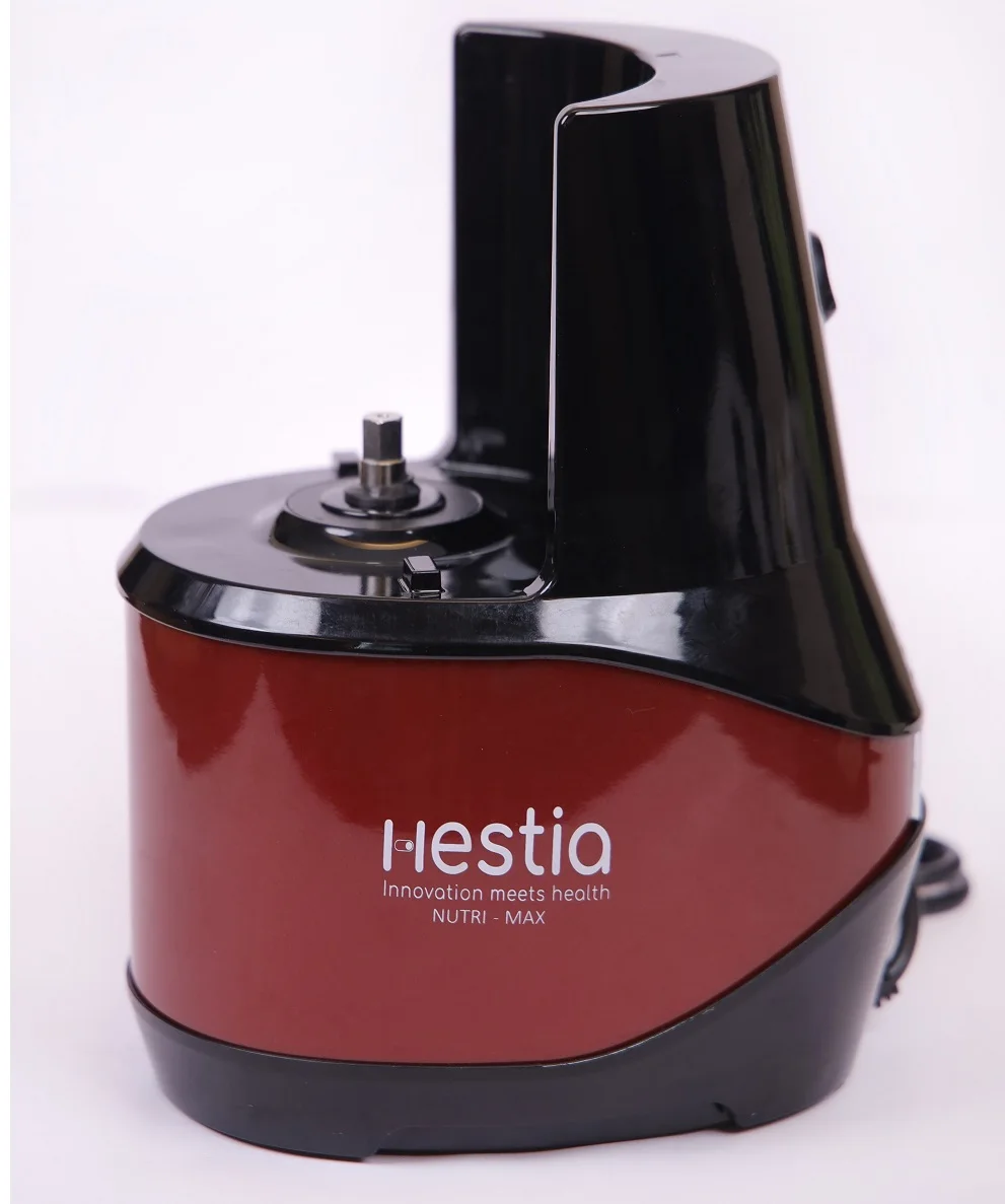 110V 220V slow juicer