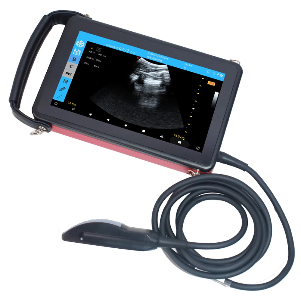 VS-V554 IPX6 Waterproof Electronic Ultrasonic Probe Accurate Detection Lightweight Portable Veterinary Ultrasound Scanner