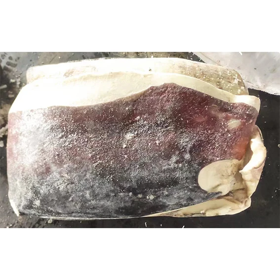 Gigas Squid Fillet Frozen Peru Squid Fillet for Sale